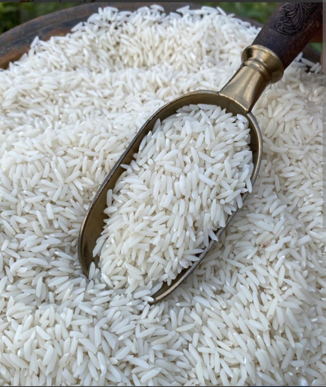 خرید و فروش برنج طارم هاشمی مرغوب و با کیفیت