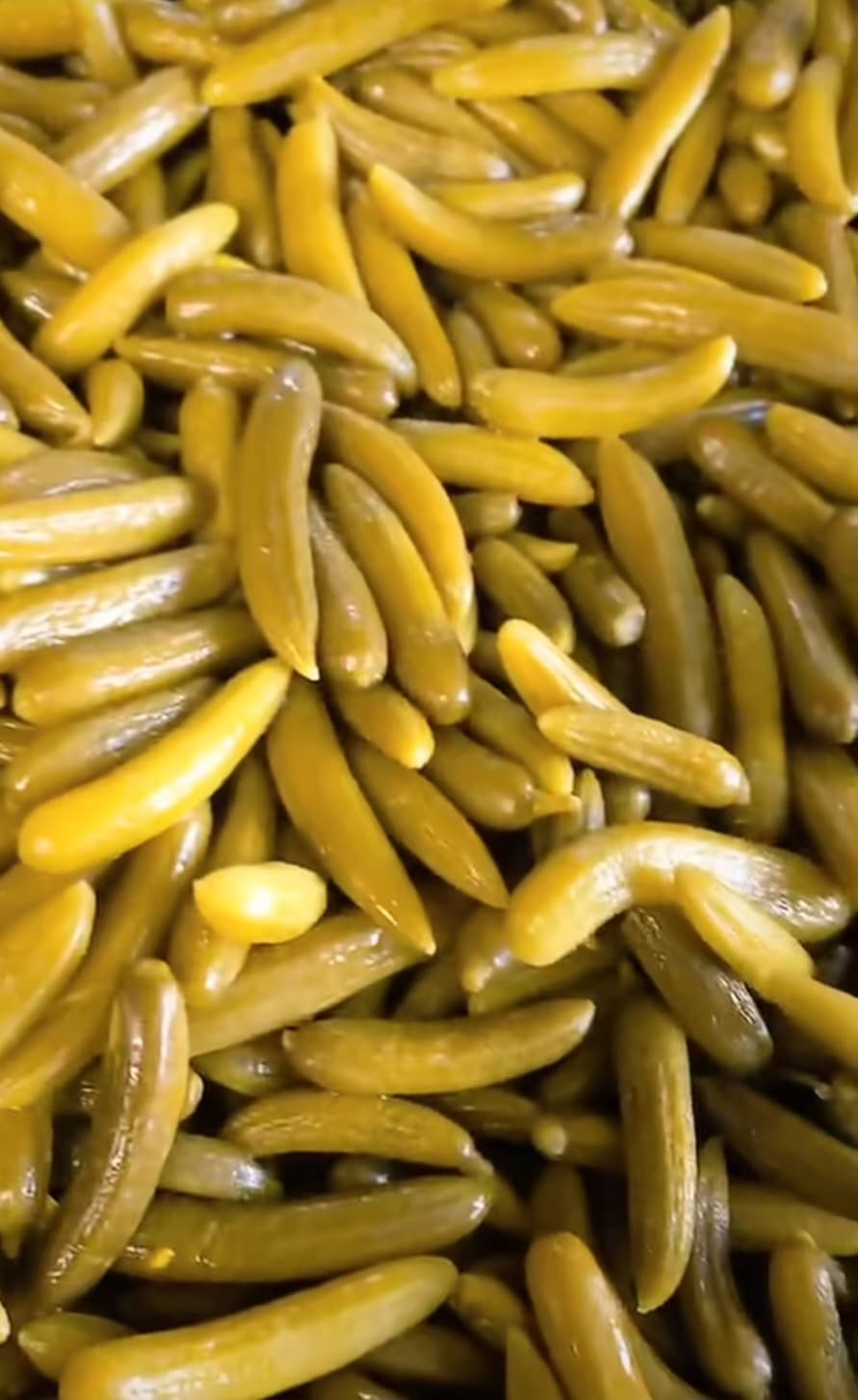 فروشگاه آنلاین خیارشور حلب سوپر ویژه ارزشمند + قیمت لحظه ای