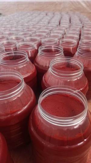 صادرات رب گوجه طلای قرمز ایرانی