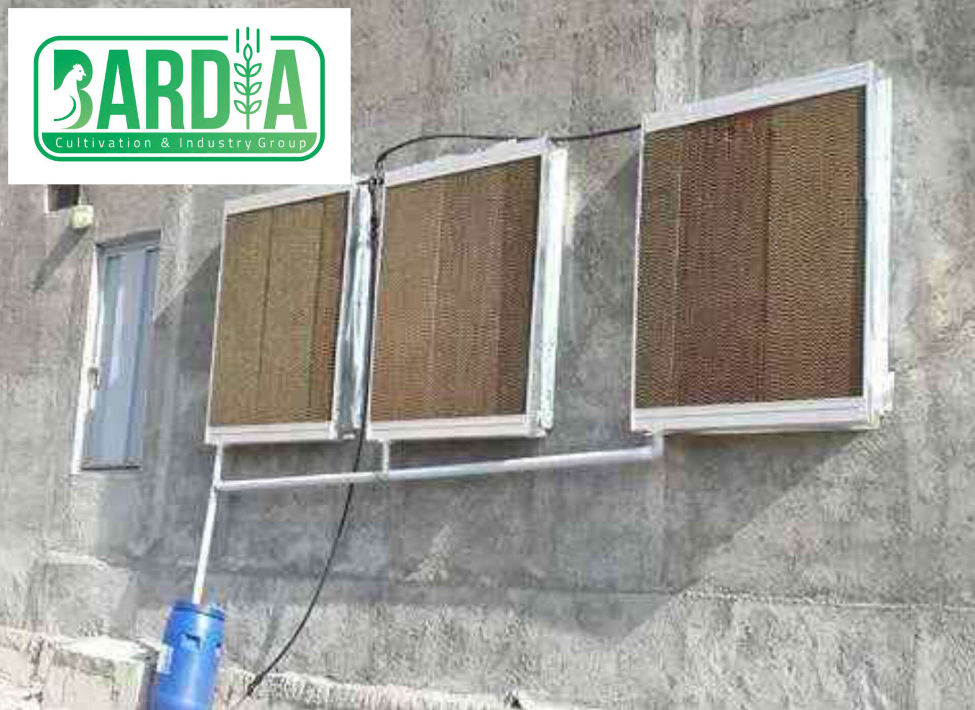خرید جدید ترین انواع پد سلولزی + فروش استثنائی