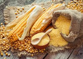 قیمت و نحوه خرید + گلوتن ذرت ۶۰ درصد