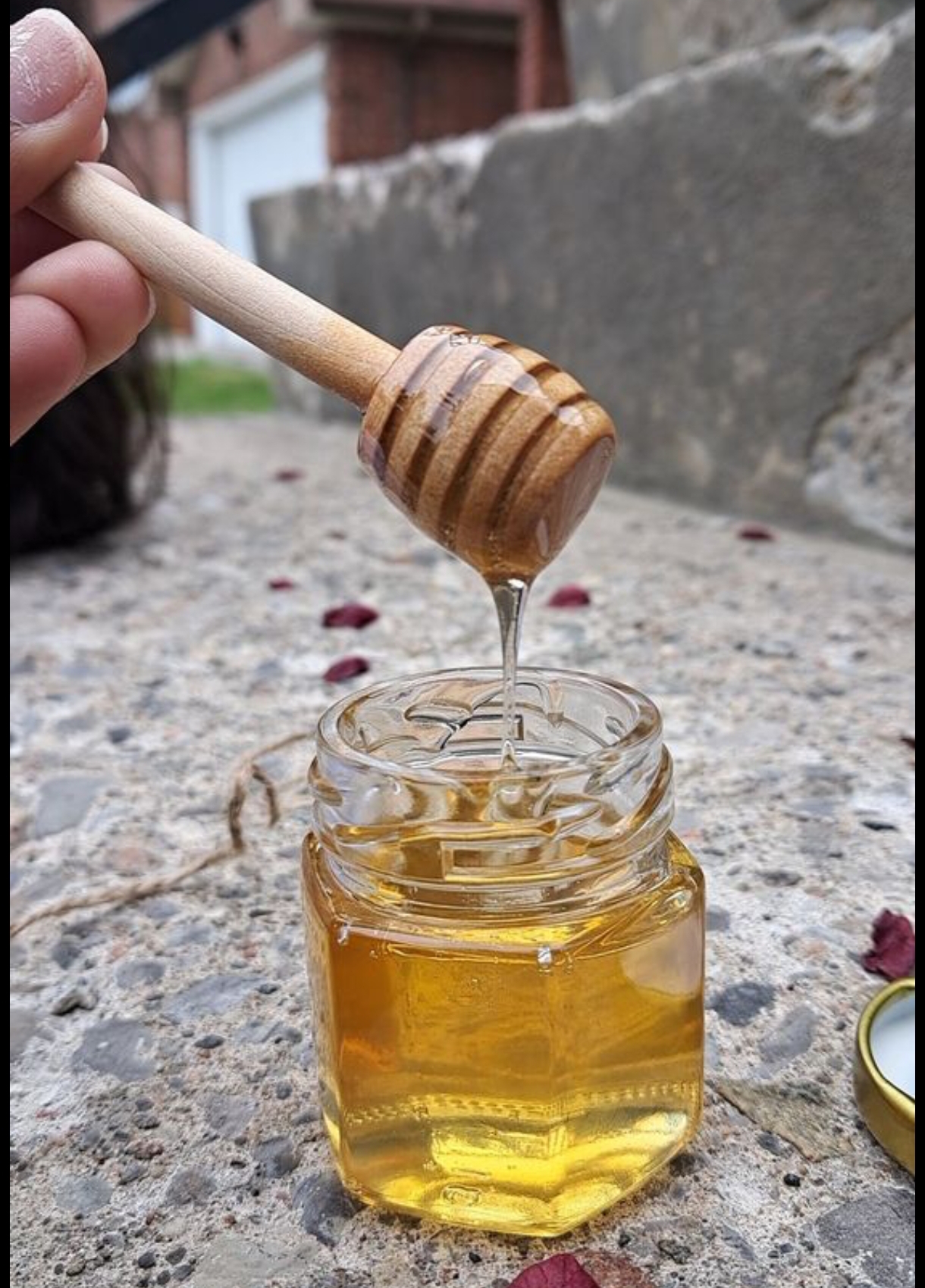 قیمت عسل بهار نارنج اعلا پت 220 گرمی + فروش عمده