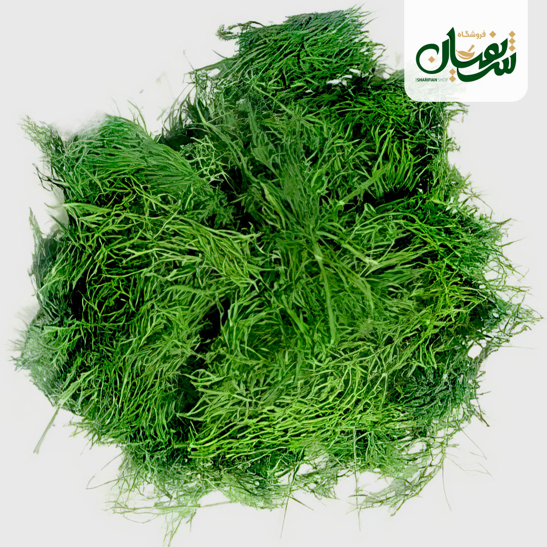 بهترین شوید خشک پفکی + قیمت خرید عالی