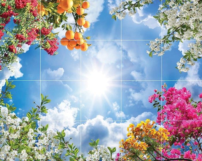 آسمان مجازی قیمت