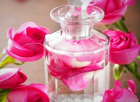 فروش ویژه عصاره خوراکی گل محمدی مایع گرید غنی شده