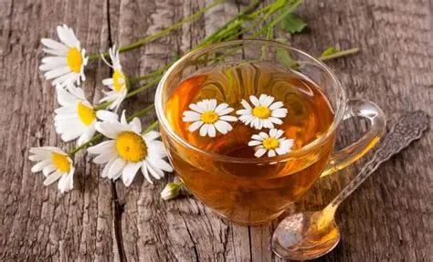 فروش بابونه خشک صادراتی + گیاه دارویی ضد التهاب و آرام بخش