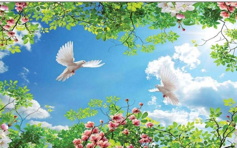 آسمان مجازی طرح جدید