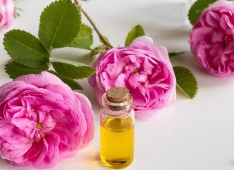 فروش استثنایی اسانس خوراکی گل محمدی طبیعی گرید ++A