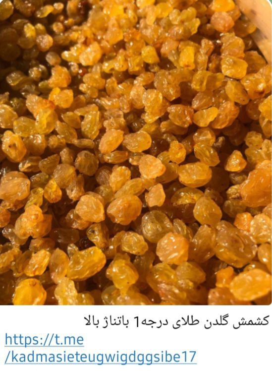 فروش عمده کشمش خوراک تازه + قیمت ۱۴۰۴