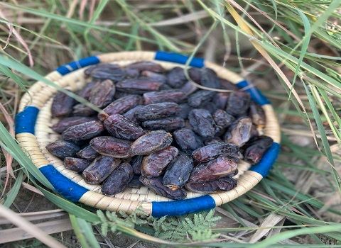 فروش عمده خرما شهابی؛ با قیمت خرید اقتصادی
