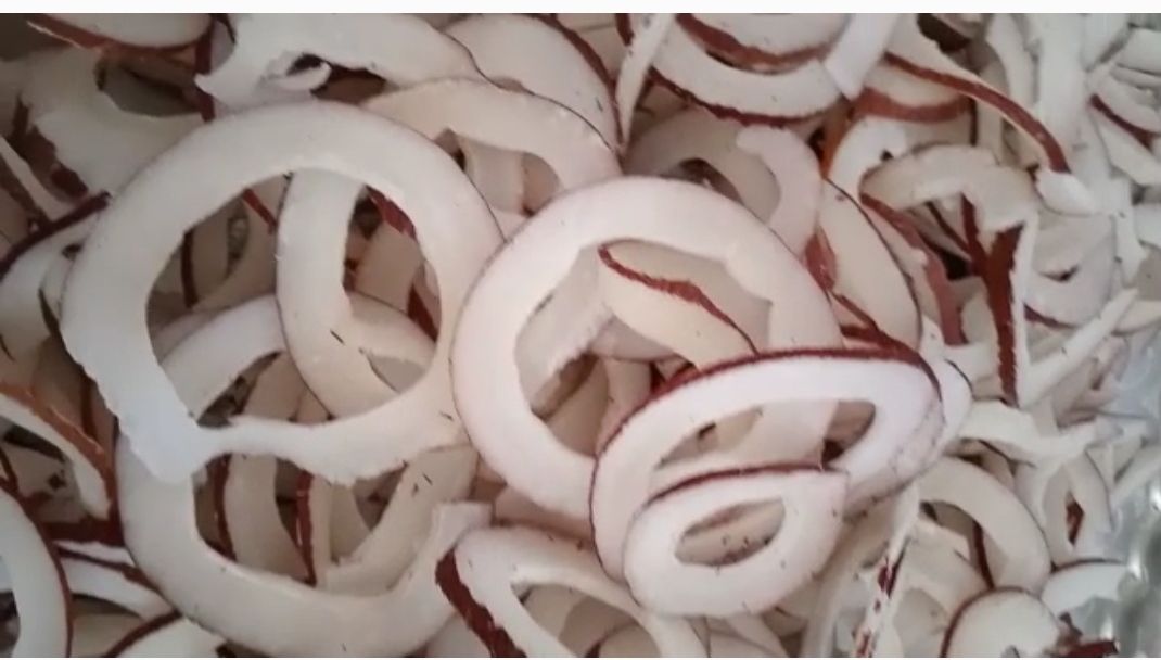 خرید عمده نارگیل اسلایس