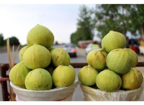 خرید انجیر سبز استهبان + ارگانیک
