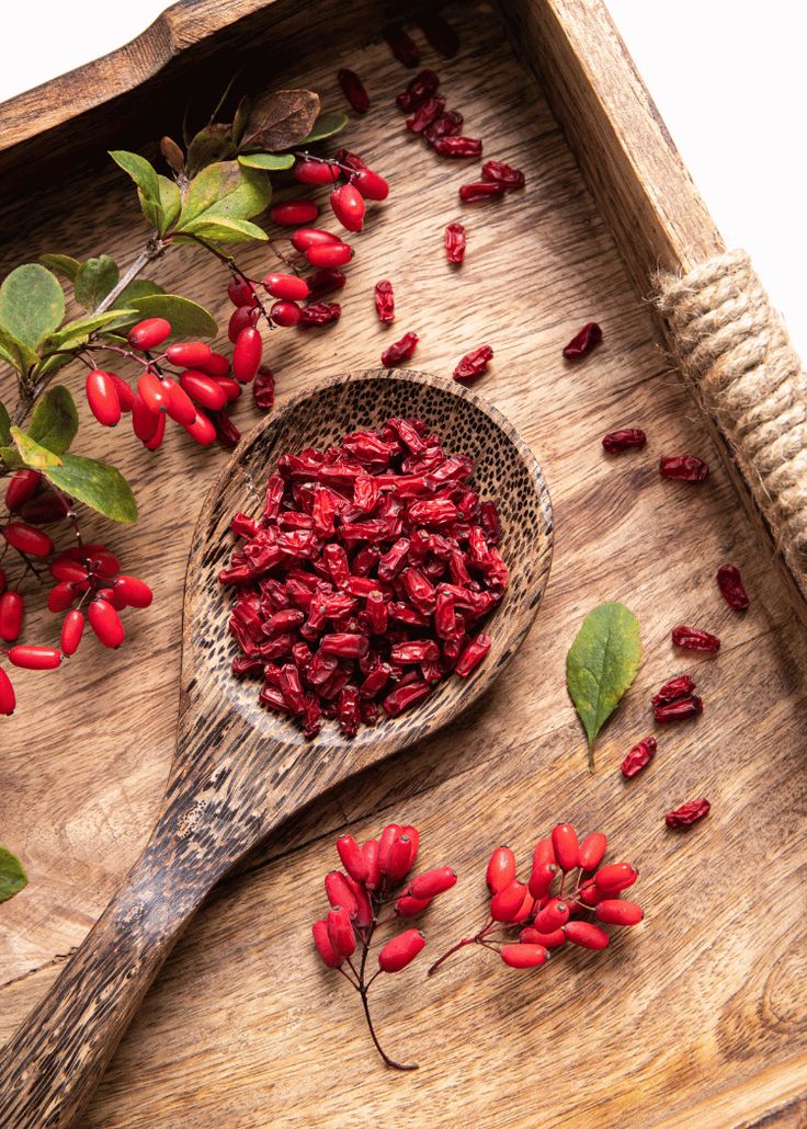 قیمت زرشک ارگانیک بیرجند + گنجینه ای از خواص دارویی و غذایی
