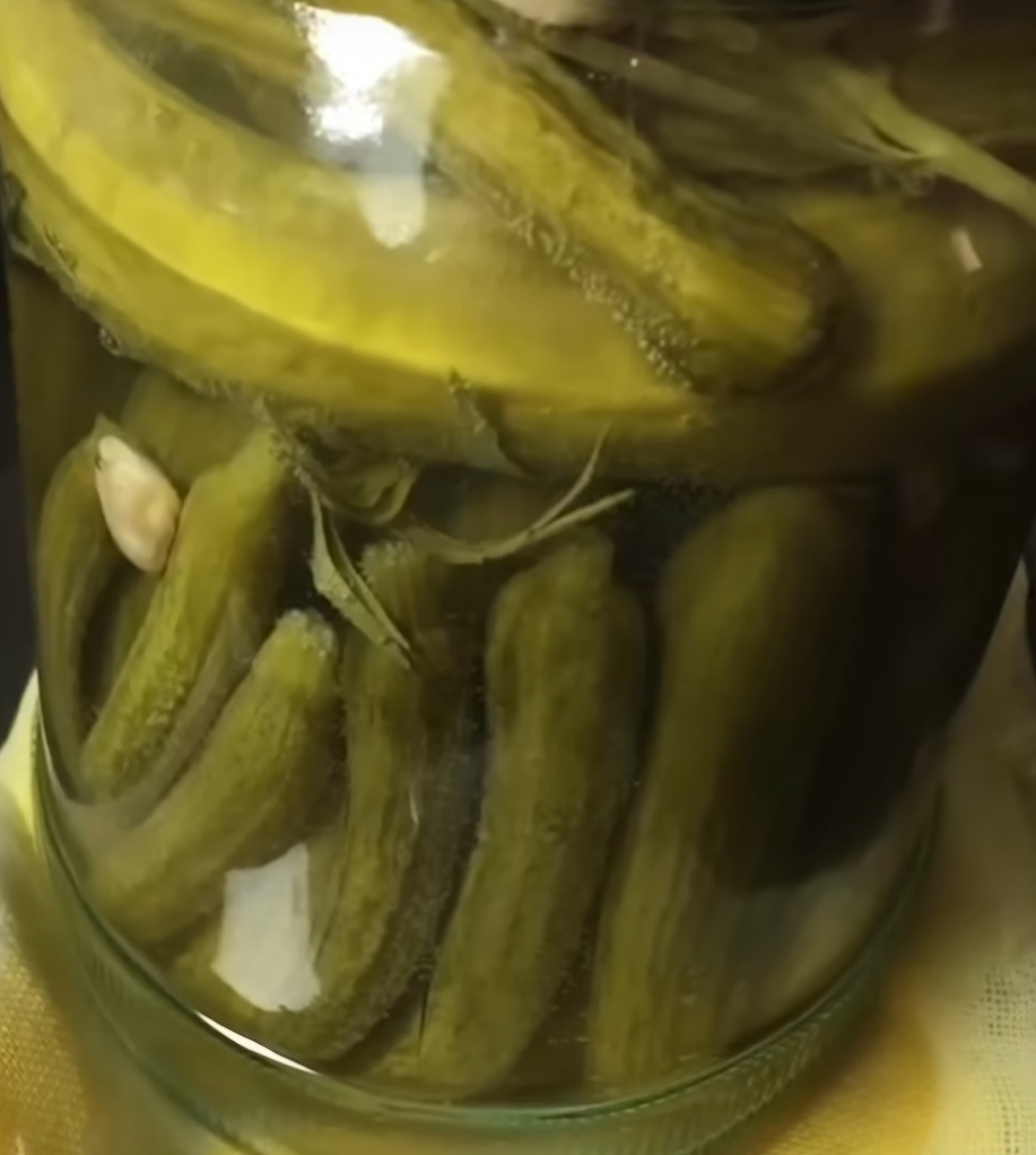 لیست به روز خیارشور ویژه حلب + خرید عمده