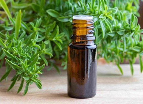فروش صادراتی اسانس خوراکی مرزه خوزستانی طبیعی گرید A