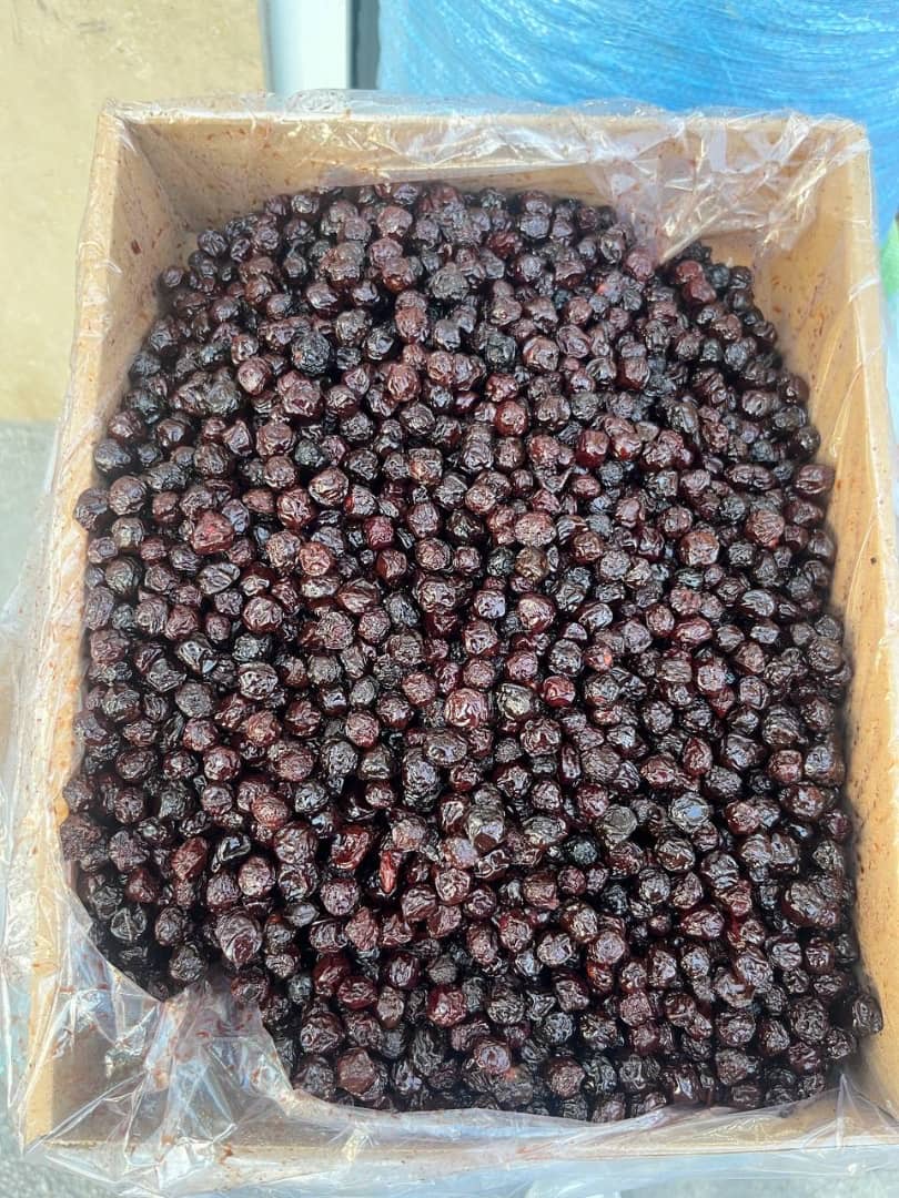 خرید عمده آلبالو خشک کرشمه