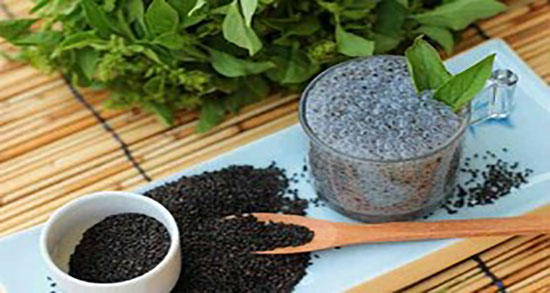 خرید عمده بالنگوی شهری با قیمت شگفت‌ انگیز و کیفیت صادراتی