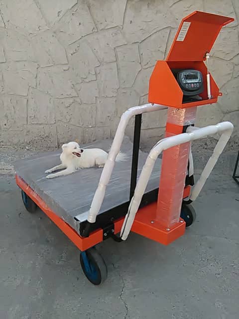 باسکول چرخدار میدانی ۶۰۰ کیلویی تره‌باری