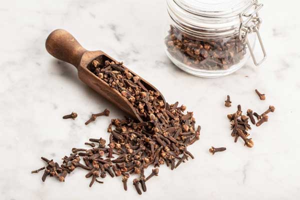 خرید عمده میخک با قیمت رقابتی و کیفیت ممتاز صادراتی