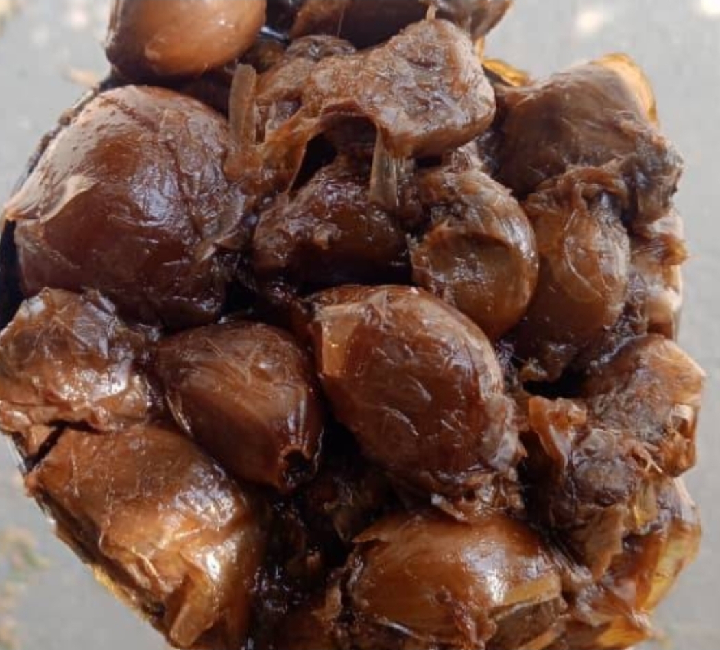 فروش عمده سیر ترشی هفت ساله