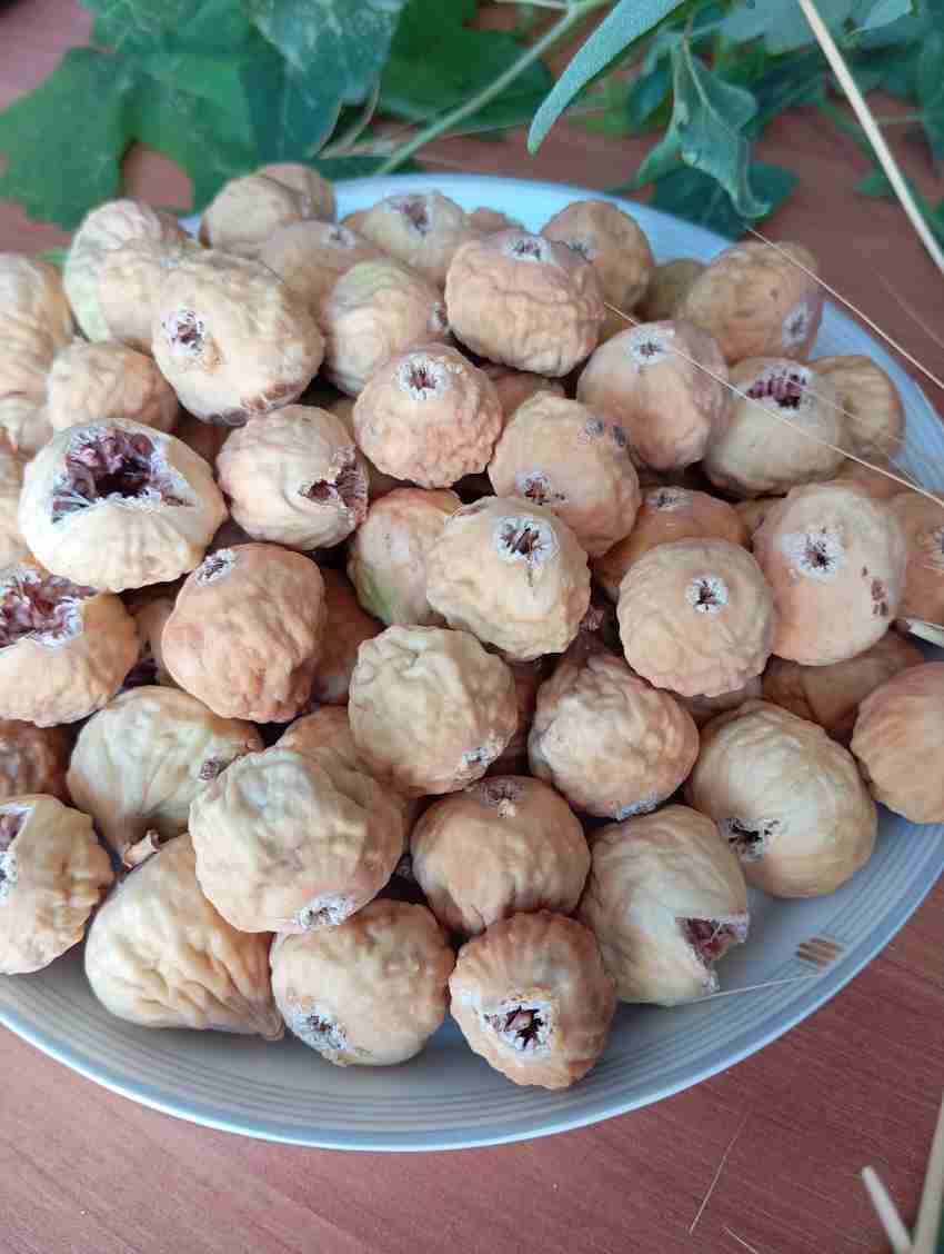 فروش ویژه انجیر خشک استهبان AAA