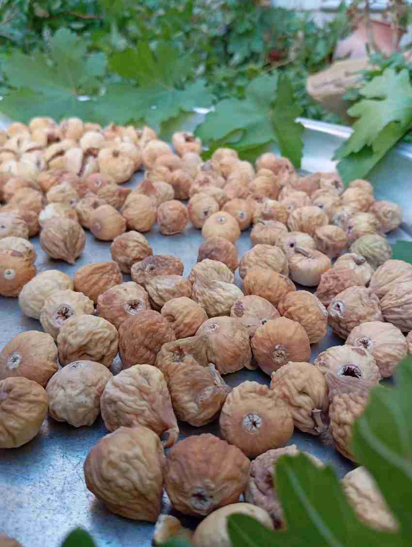 خرید مستقیم انجیر خشک استهبان نوع مخلوط