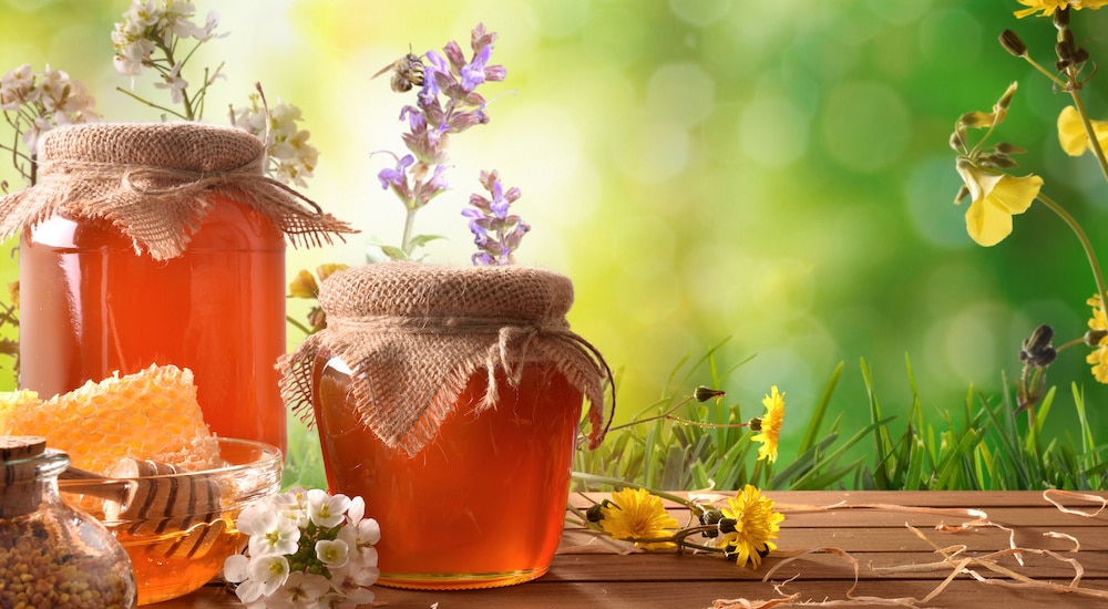 قیمت عسل چند گیاه اعلا پت 450 گرمی + فروش عمده