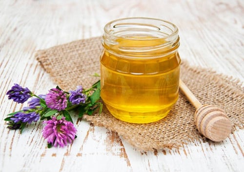 قیمت عسل یونجه پت 450 گرمی + فروش عمده