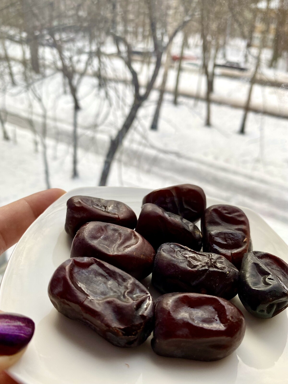 خريد از كشاورز خرما مضافتي