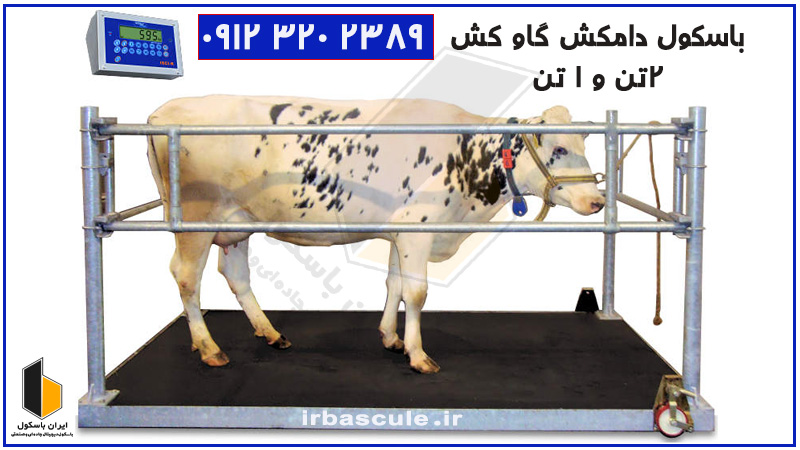 باسکول دامکش ۲۲۰۰ کیلویی با حفاظ مقاوم