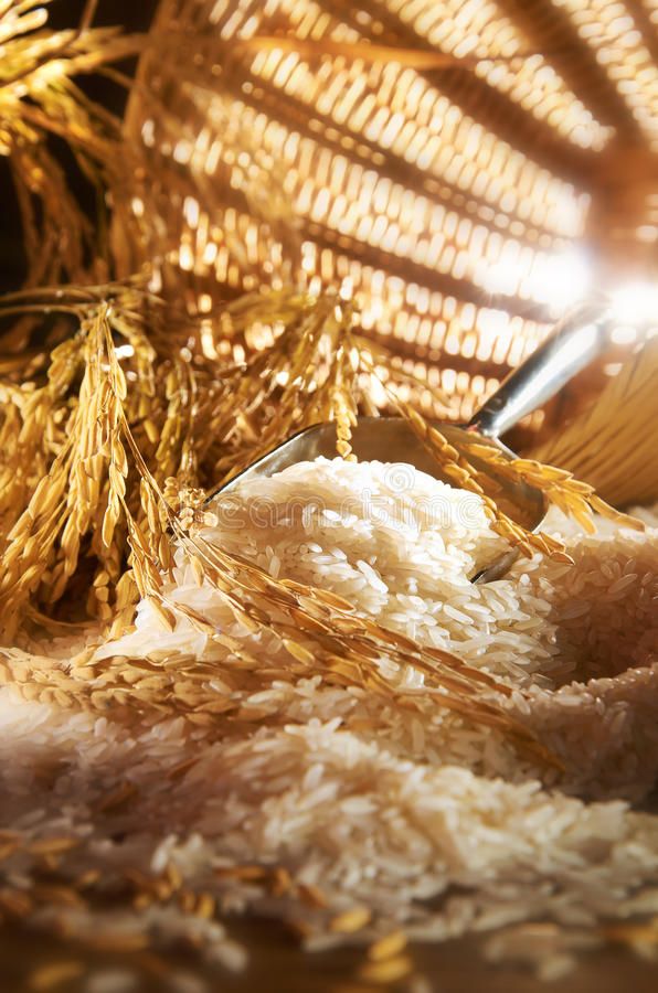 تصویر 2 از برنج هاشمی میریان با منشأ کشت محلی