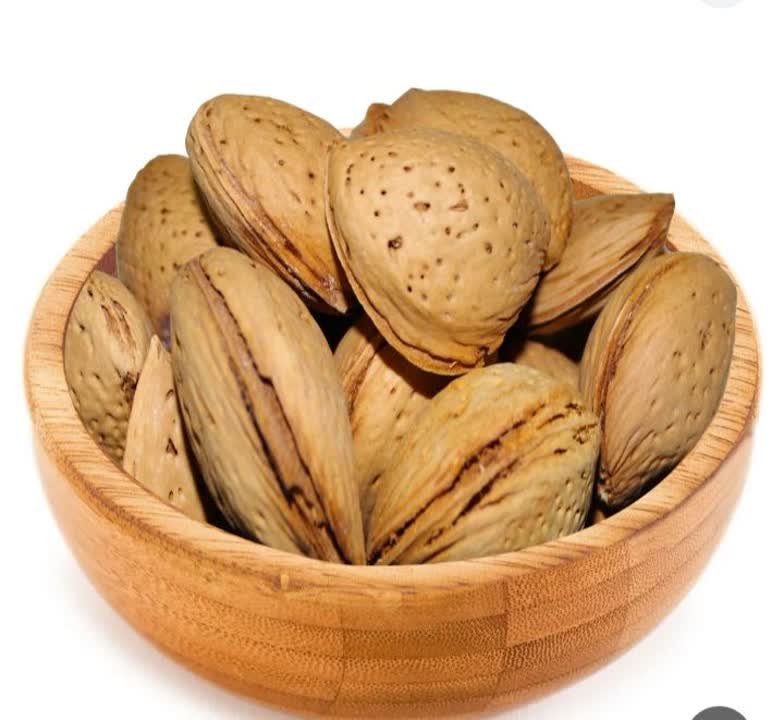 عرضه مستقیم بادام ربیع بدون پوست از تولید کننده