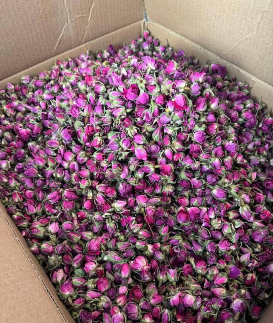 قیمت غنچه گل محمدی خشک عمده کرمان