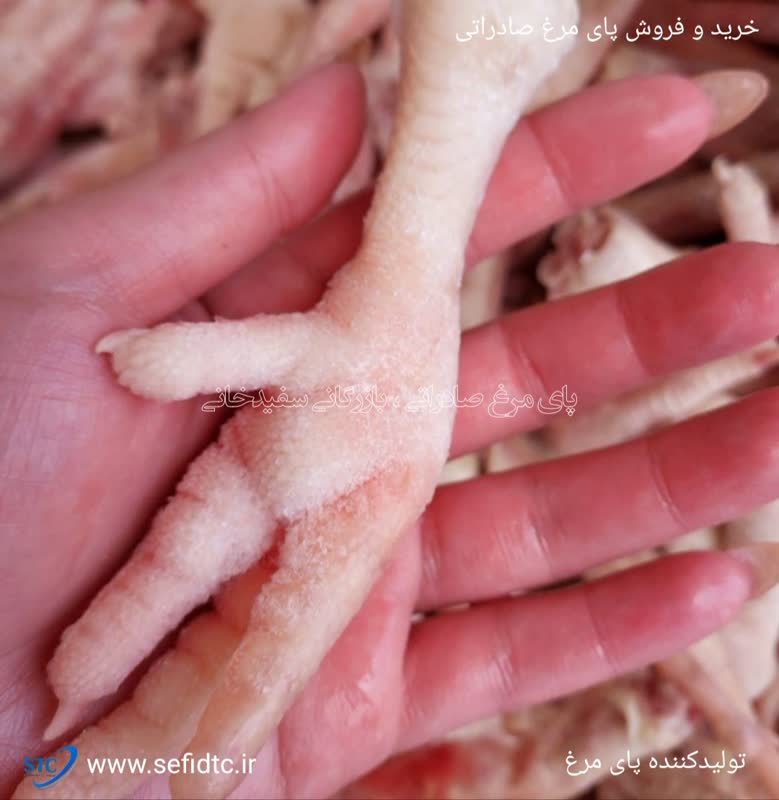 فروش پای مرغ صادراتی
