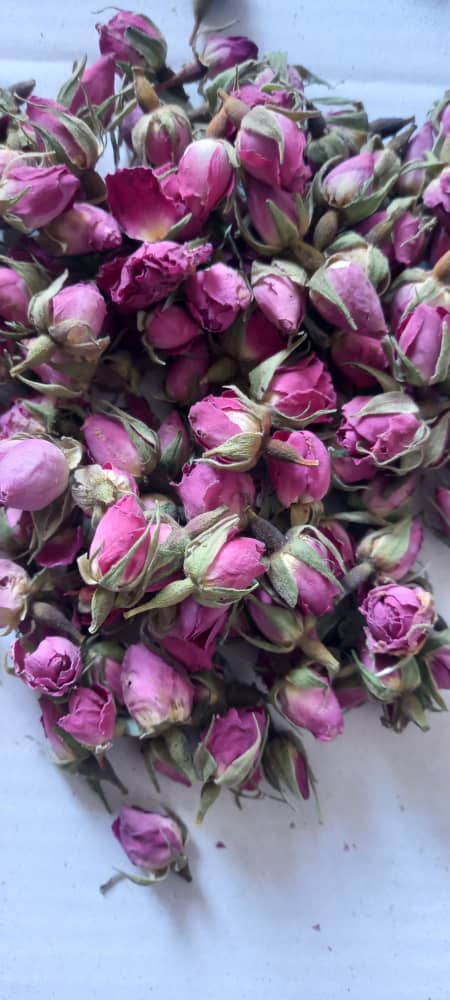خرید تضمینی، فروش عمده غنچه گل محمدی