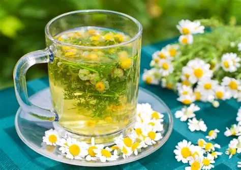 بابونه خشک صادراتی + ضد التهاب، آرامش بخش طبیعی