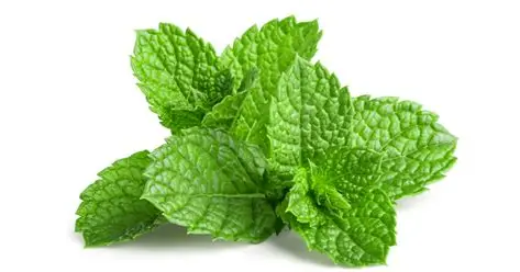 زیره سیاه ایرانی + ادویه و گیاه دارویی صادراتی