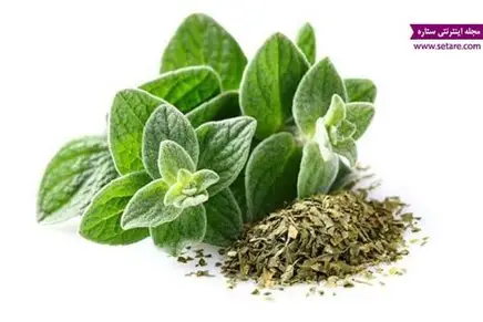 پونه خشک ایرانی + ضد عفونی‌ کننده و معطر طبیعی