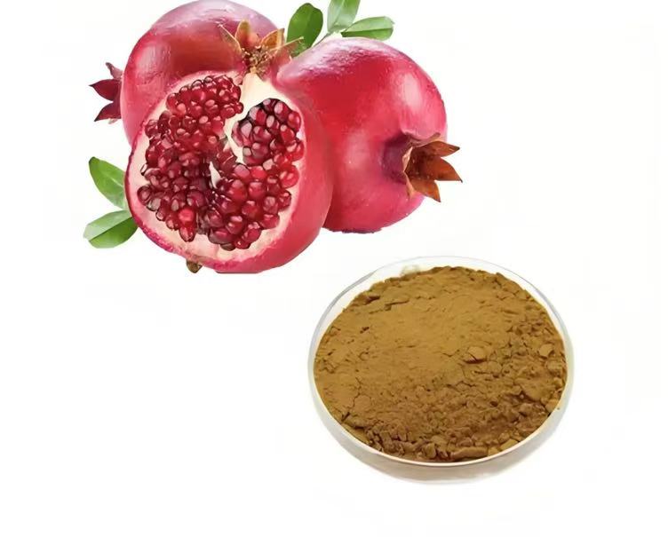 خرید و فروش پودر پوست انار + در تهران
