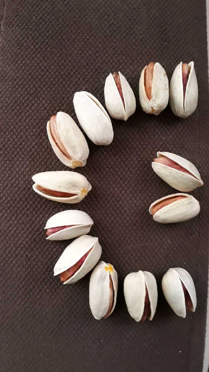عمده فروشی پسته شور سیرجان