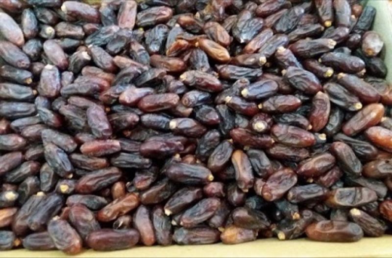 تصویر 1 از خرید مستقیم و بی‌ واسطه خرمای ربی + قیمت عالی با کیفیت