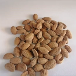 خرید مغز بادام کوهی تلخ + قیمت استثنایی