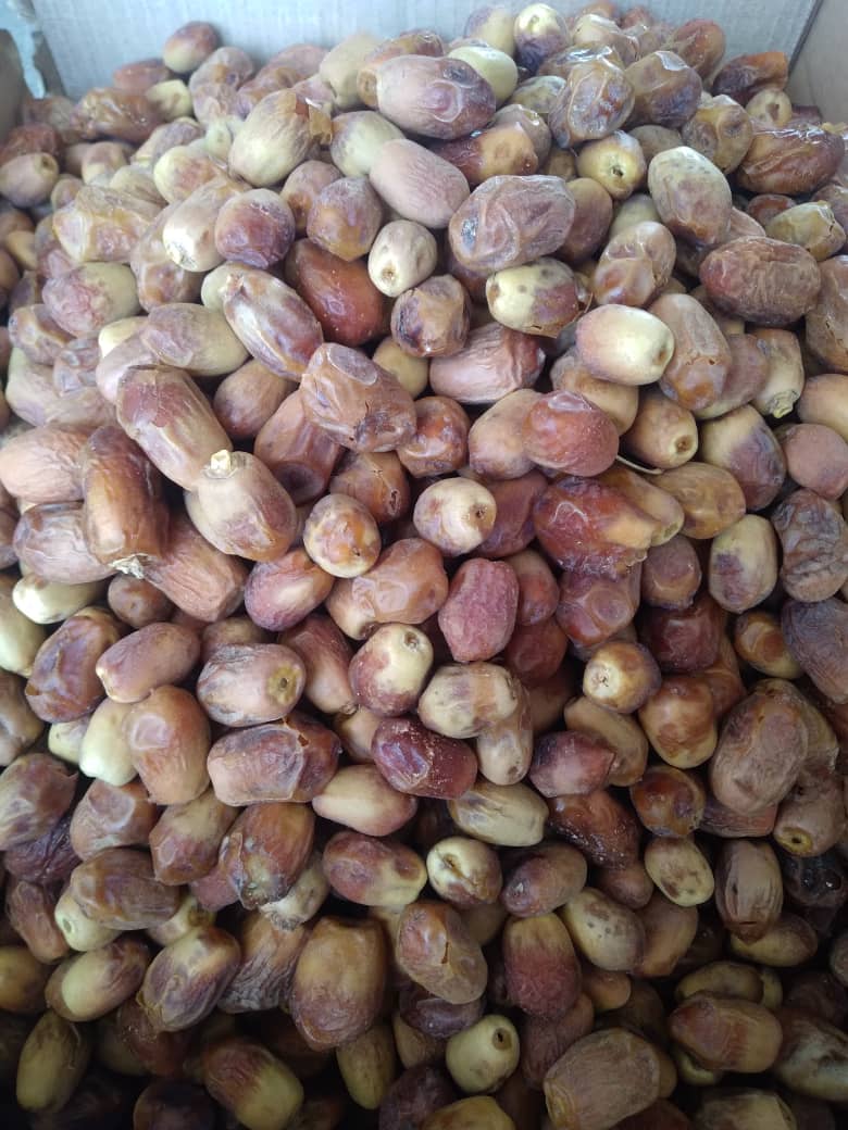 فروش ویژه خرمای زاهدی قصب لوکس + خرید باور نکردنی