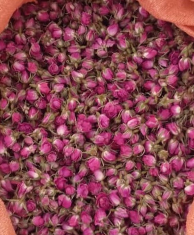 خرید امن، قیمت رقابتی غنچه گل محمدی