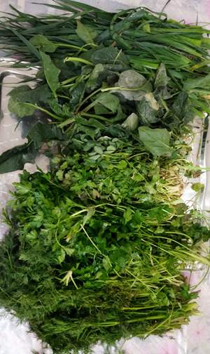 سبزی آش فارس + عطر خوش و طعم بی‌ نظیر با قیمتی مقرون به صرفه