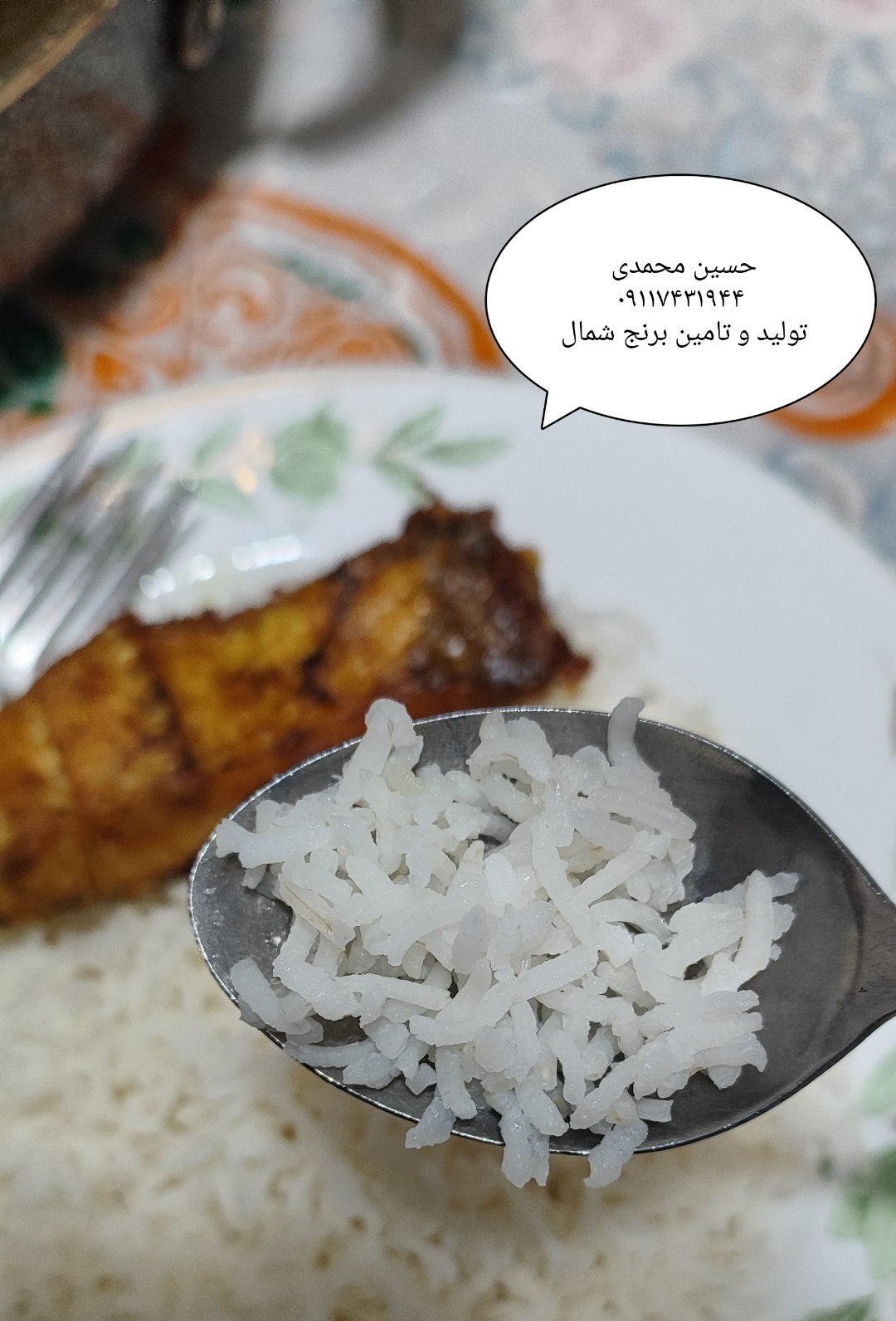 قیمت روز برنج طارم هاشمی شمال