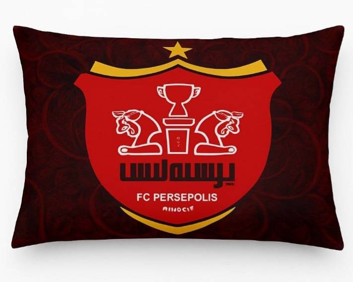 روبالشی عروسکی نوجوان + قیمت عمده