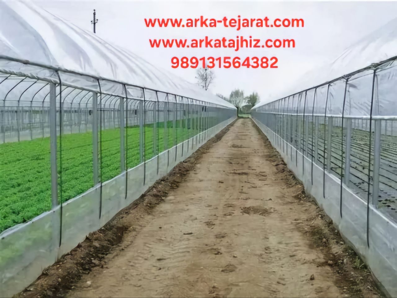قیمت خرید پلاستیک گلخانه‌ای مشهد عمده به صرفه و ارزان