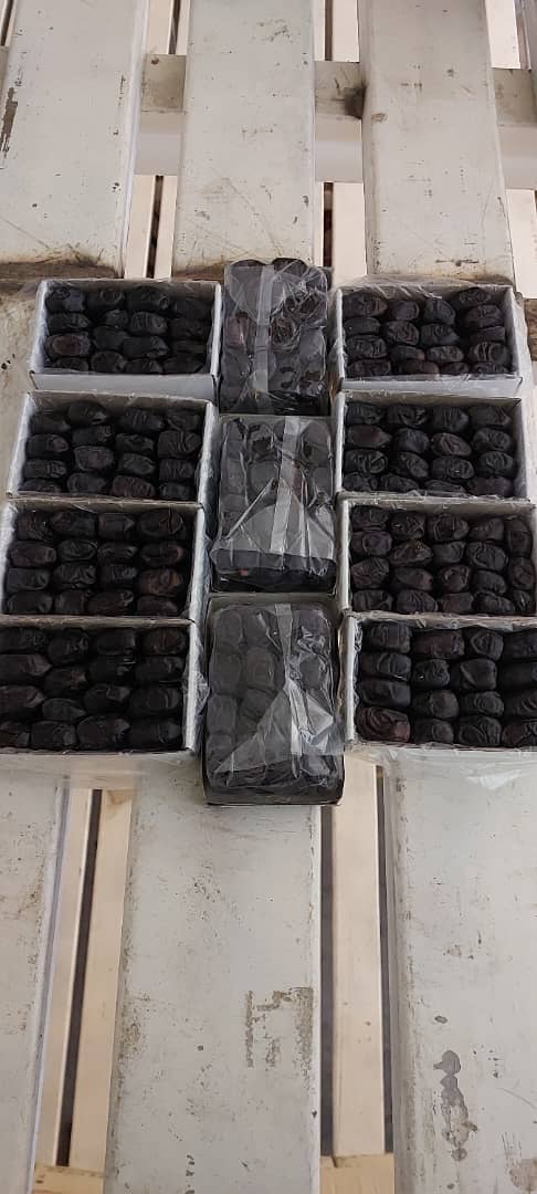 خرمای مضافتی شاه خرمای جنوب