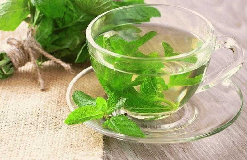 عرق نعنا + قیمت عمده